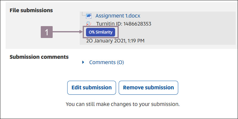 Screenshot showing the similarity percentage button under the submission. 