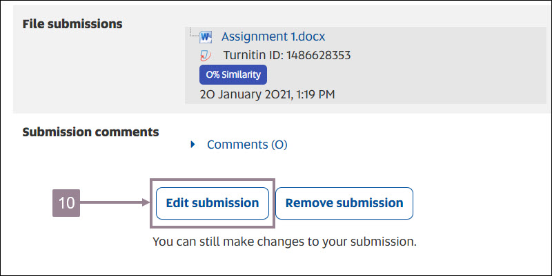 screenshot showing the edit submission button.