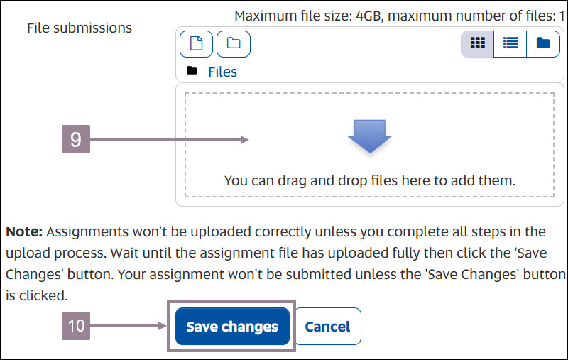 Screenshot showing the upload window for assignments and the save changes button. 