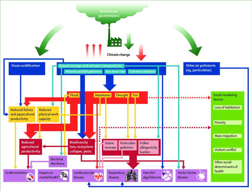 The effects of climate change on health